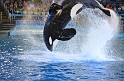 Kids_SeaWorldSA-2013 (210)